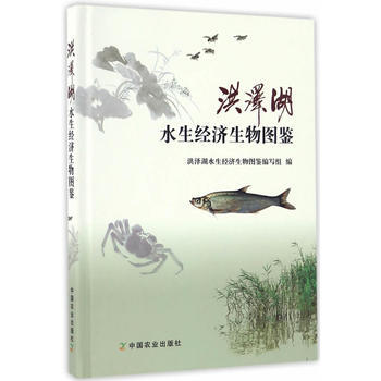 洪泽湖水生经济生物图鉴 pdf epub mobi 下载