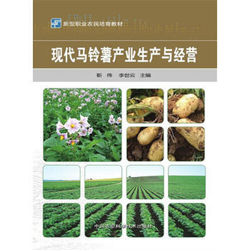 现代马铃薯产业生产与经营 pdf epub mobi 下载