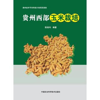 贵州西部玉米栽培