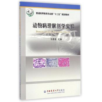 动物病理解剖学实验 pdf epub mobi 下载
