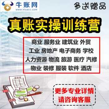 2018工业商业服务业酒店餐饮房地产会计做账真账实操实训视频教程 pdf epub mobi 下载