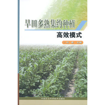 RTDK 旱田多熟集约种植高效模式 9787511614926 中国农业科学技术出版社 pdf epub mobi 下载