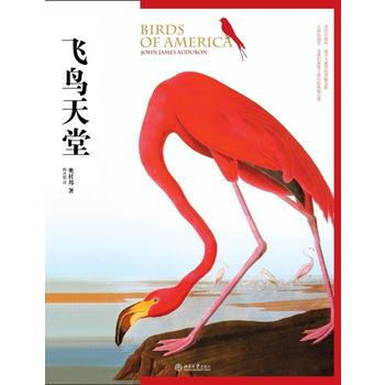 飞鸟天堂 9787301181935 pdf epub mobi 下载