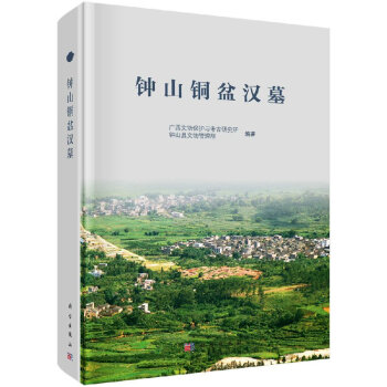 钟山铜盆汉墓 pdf epub mobi 下载