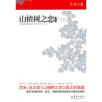 山楂樹之戀 續篇:艾米