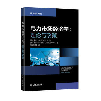 RTDK 研究生教材 电力市场经济学：理论与政策 9787519805500 中国电力出版 pdf epub mobi 电子书 下载