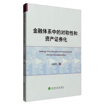 金融体系中的对称性和资产证卷化 pdf epub mobi 下载