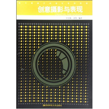 正版全新创意摄影与表达金川任宏伟西南师范大学出版社考研教材9787562147145 pdf epub mobi 电子书 下载