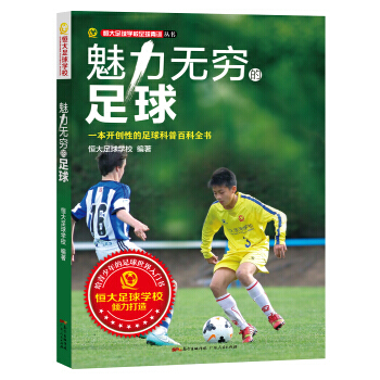 魅力無窮的足球 pdf epub mobi 下载