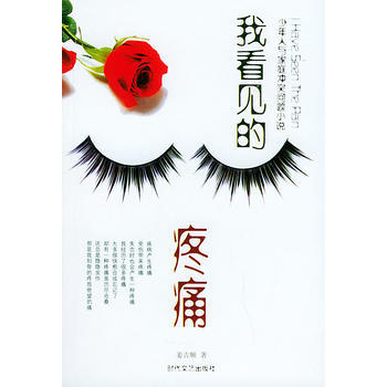 我看见的疼痛——少年人与家庭冲突问题小说 pdf epub mobi 下载