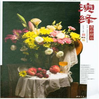 演绎色彩照片 pdf epub mobi 下载