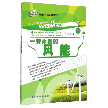 一劳永逸的风能 袁飞 9787542419521 pdf epub mobi 下载