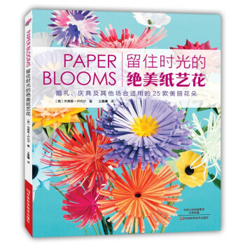 留住时光的绝美纸艺花 pdf epub mobi 下载