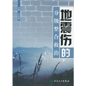 地震伤的分级整合救治 pdf epub mobi 下载