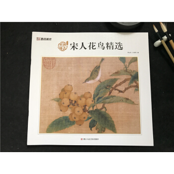 正版包邮 墨点美术 宋人花鸟精选 宋画精品赏析 陈运权汪惠君编 花鸟画作品集 浙江人民美术出版社 pdf epub mobi 下载