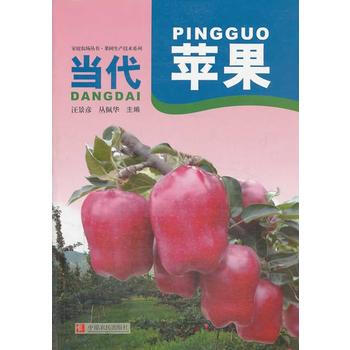 当代苹果 pdf epub mobi 下载