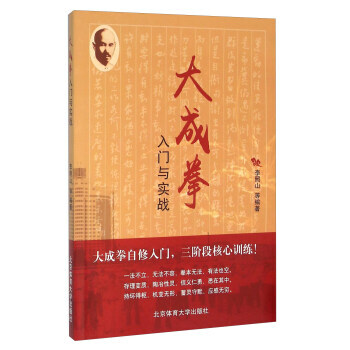 大成拳入门与实战 pdf epub mobi 电子书 下载