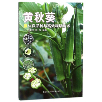 黄秋葵优良品种与高效栽培技术