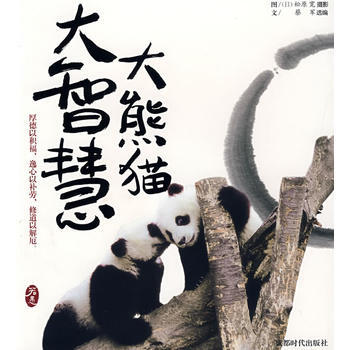 大熊猫大智慧 pdf epub mobi 电子书 下载