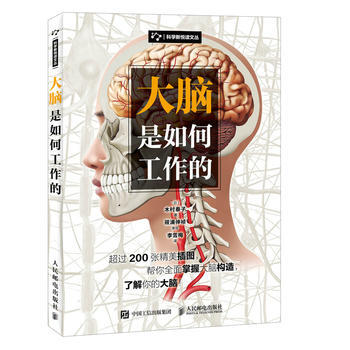 大脑是如何工作的 9787115458131 [日]木村泰子 pdf epub mobi 电子书 下载