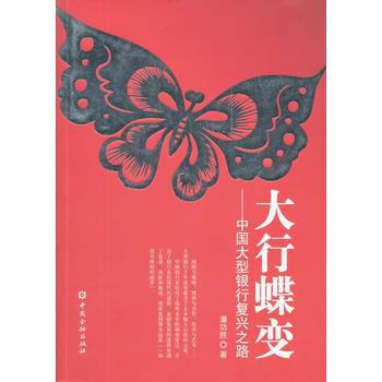 大行蝶变——中国大型商业银行复兴之路 pdf epub mobi 下载