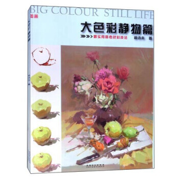 大色彩：静物篇 9787539861555 pdf epub mobi 下载