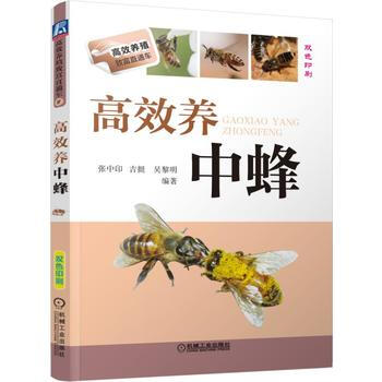 高效养中蜂 9787111529361 pdf epub mobi 下载