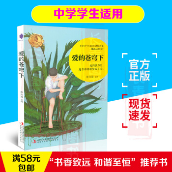 爱的苍穹下中小学生暑假读书征文活动推荐书初中生暑假学校推荐书假期课外阅读书初中七八九年级课外阅读书课 pdf epub mobi 下载