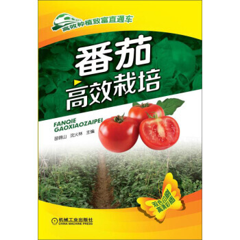 番茄高效栽培 9787111492641 pdf epub mobi 下载