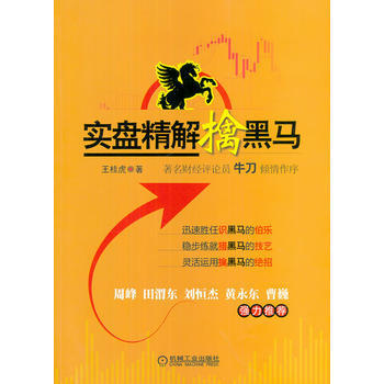 实盘精解擒黑马 pdf epub mobi 下载
