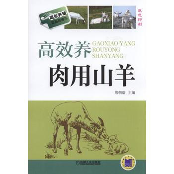 高效养肉用山羊
