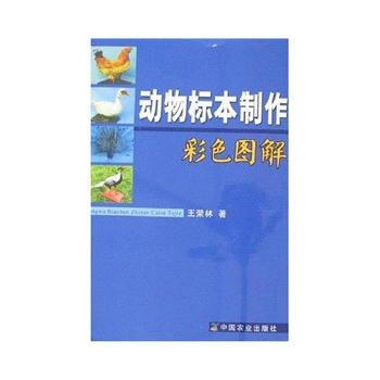 动物标本制作彩色图解 9787109111011