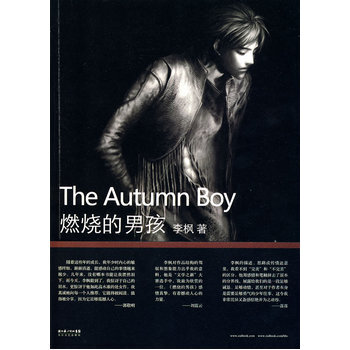 燃烧的男孩 9787535443120 pdf epub mobi 下载