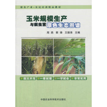 玉米規模生産與病蟲害原色生態圖譜 pdf epub mobi 電子書 下載