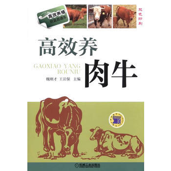 高效养肉牛(高效养殖致富直通车) 9787111483755