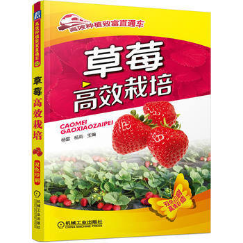 草莓高效栽培(高效种植致富直通车) 9787111468981