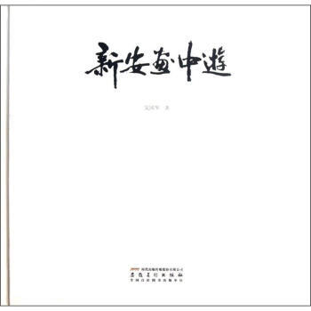 新安画中游 9787539830629