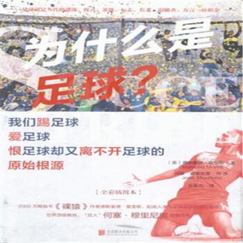 為什麼是足球? pdf epub mobi 下载