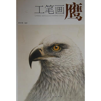 工筆畫鷹 9787102047140 pdf epub mobi 下载