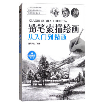 鉛筆素描繪畫從入門到精通 9787113229627 pdf epub mobi 下载