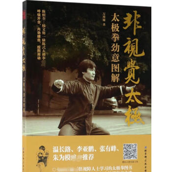 非视觉太极(太极拳劲意图解)