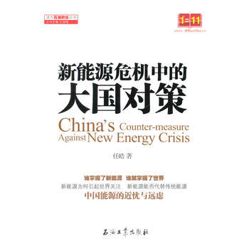 新能源危机中的大国对策 pdf epub mobi 下载