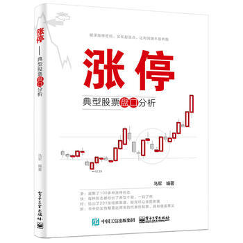 漲停：典型股票盤口分析 9787121270598 電子工業齣版社 pdf epub mobi 下载