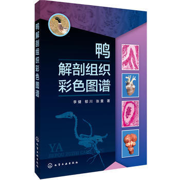 鸭解剖组织彩色图谱 9787122253637 化学工业出版社 pdf epub mobi 电子书 下载