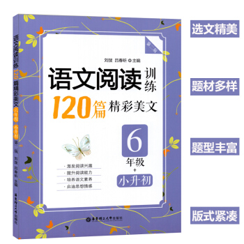 小学语文阅读训练120篇精彩美文 六年级+小升初 6年语文阅读训练 语文阅读理解 小升初120篇 华 pdf epub mobi 下载