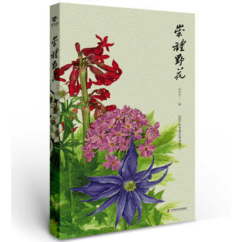 崇禮野花 pdf epub mobi 下载