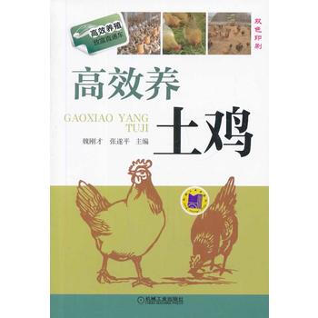高效养土鸡 pdf epub mobi 下载