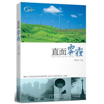 直面雾霾 pdf epub mobi 下载
