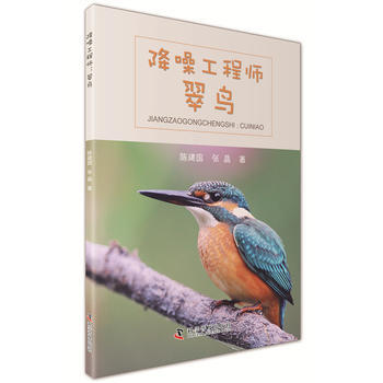 降噪工程師-翠鳥 9787110096659 pdf epub mobi 下载