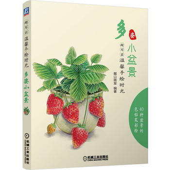 超寫實 溫馨手繪時光 多姿小盆景 9787111485568 pdf epub mobi 下载